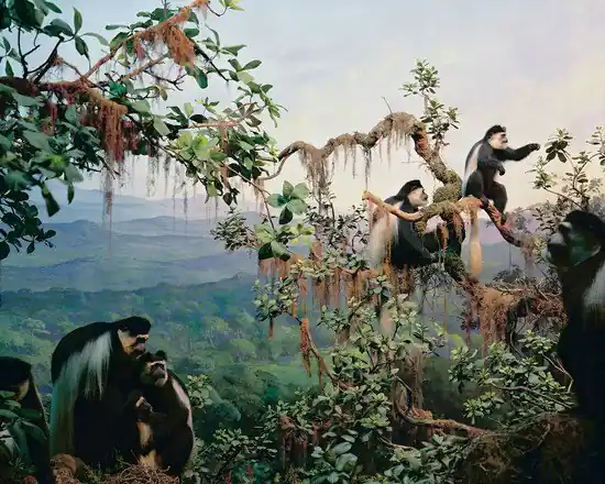 Diorama #5 Meistverkauft