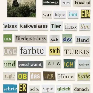 Neu Im Sortiment Das kalkweisse Tier