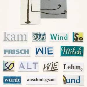 Knallerangebot Kam ein Wind