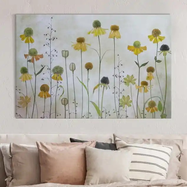 Zarte Helenium Blüten Akustikbild Saisonangebot