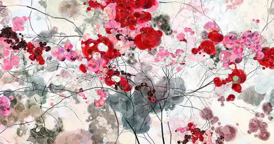 Wochenendangebot Rose Cherry III