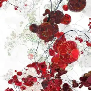 Run into Roses I Begrenztes Angebot