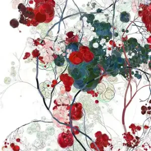 Expressversand Run into Roses II
