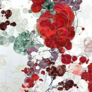 Run into Roses III Billig