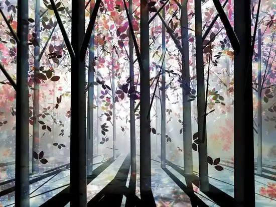 Bestseller the inner light II
