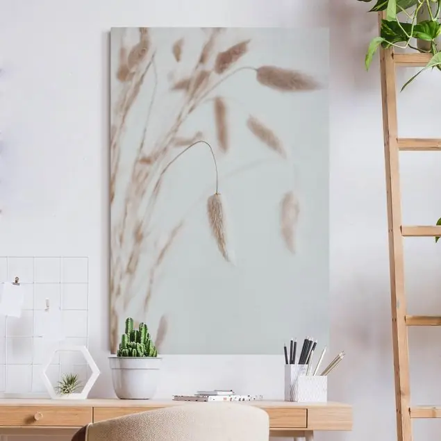 Zartes Glanzgras Akustikbild Heißes Angebot