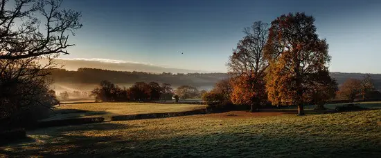 Direktkauf Glebe House Estate, Morning View