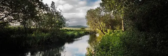 Zertifiziert River Allen St Giles Estate
