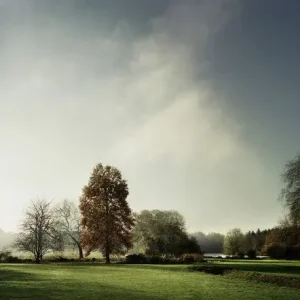 View of the lake in Autumn on St Giles House Park Super-Preis