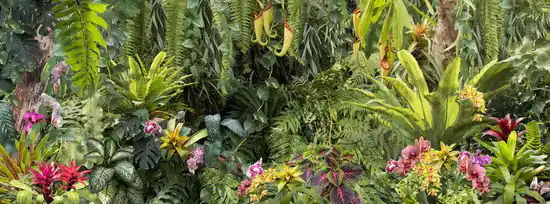 Botanical I Saisonangebot
