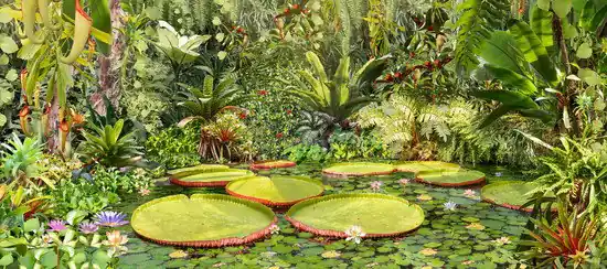 Abverkauf Botanical II