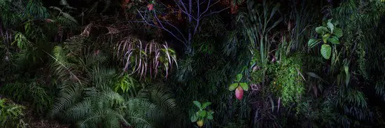 Eden I. Must-Have