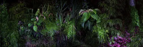 Eden III. Gratis Versand