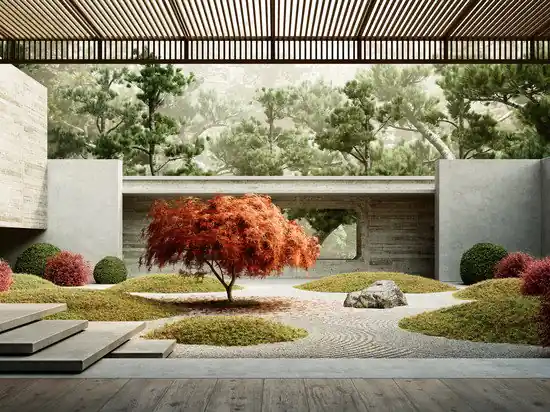 Solange Der Vorrat Reicht Red Maple Tree