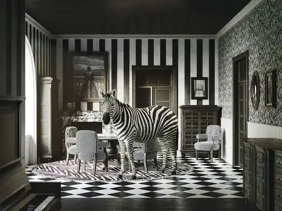 Zebra Saisonangebot