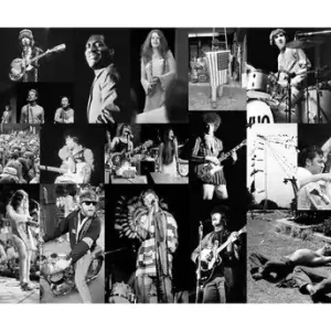 Kracherpreis Monteray Pop Festival