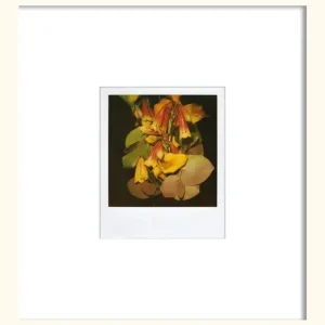 Top-Angebot Flower