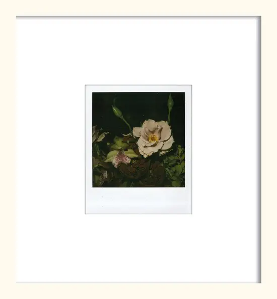 Flower Neu