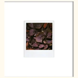 Flower Kostenloser Versand