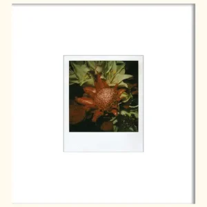 Markenprodukt Flower