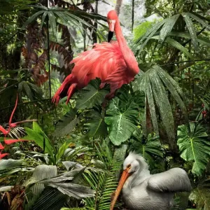 A Lost Flamingo and a Lost Pelican Meistverkauft
