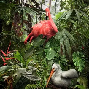 A Lost Flamingo and a Lost Pelican Kostenloser Rückversand