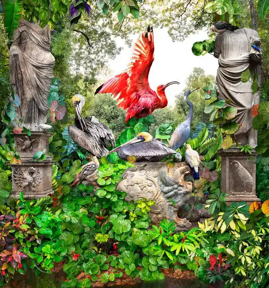 Scarlet Ibis Rabatt