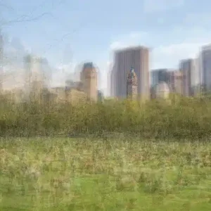 Sheep Meadow, Central Park NYC Preisreduziert