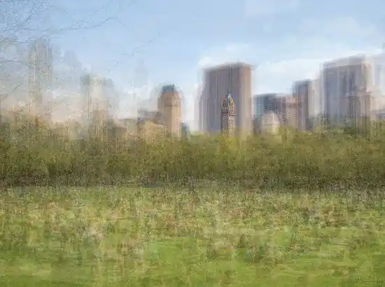 Sheep Meadow, Central Park NYC Preisreduziert