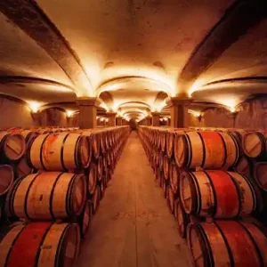 Chateau Margaux, Bordeaux, France Expressversand