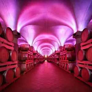 Mega-Angebot Distillerie Berta, Piemont, Italy