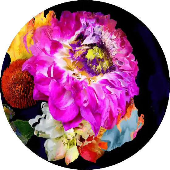 "bloom v7.2" Finale Aktion