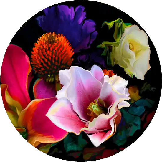 Preisreduziert "bloom v7.5"