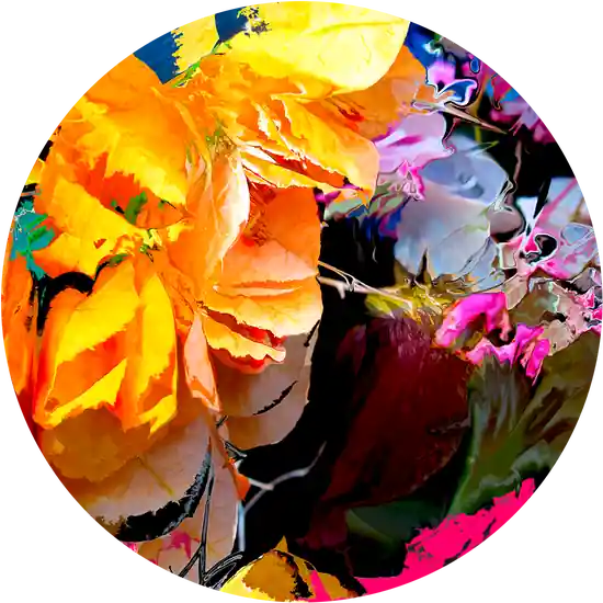 "bloom v8.4" Finale Aktion