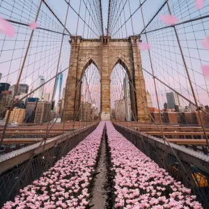 Brooklyn Bridge Tulips Must-Have