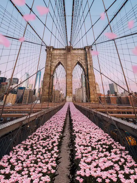 Brooklyn Bridge Tulips Must-Have