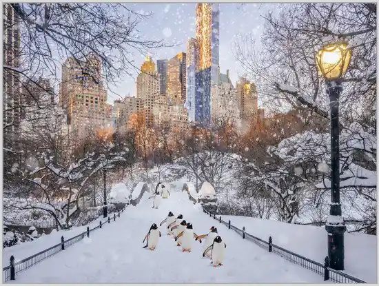 Begrenztes Angebot Central Park Penguins