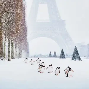 Kostenloser Rückversand Eiffel Tower Penguins