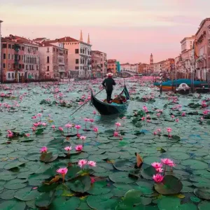 Venice Lotus Flowers Wochenendangebot