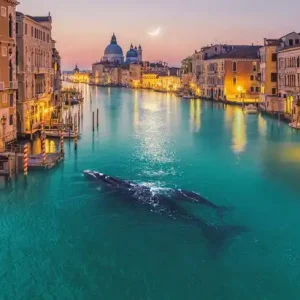 Kostenloser Rückversand Whale in Venice