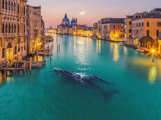 Kostenloser Rückversand Whale in Venice