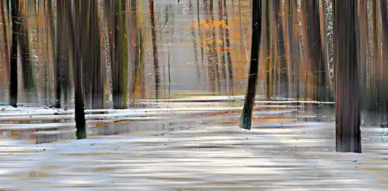 Wood XXlll Geprüft