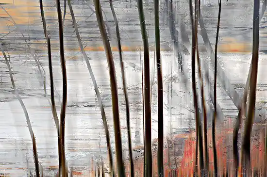 Wood XXV Neu