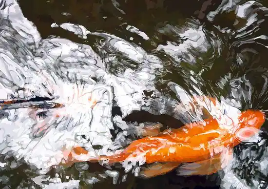 Goldfisch I Schneller Versand