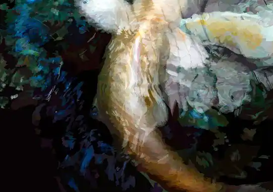 Aktuell Koi II