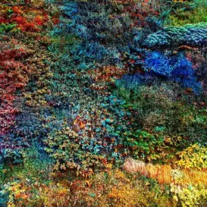 Wall of Nature VI Versand Am Gleichen Tag