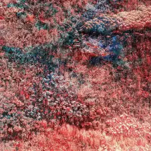 Nur Für Kurze Zeit Wall of Nature XXI