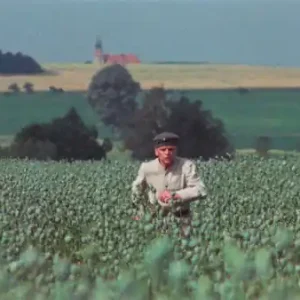 Preisknaller Woyzeck 3