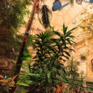 Wochenendangebot Butterfly House, Lancaster I