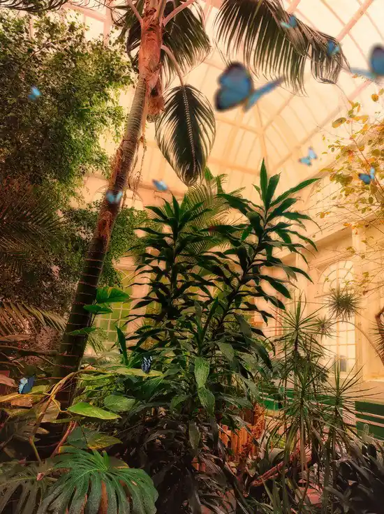 Wochenendangebot Butterfly House, Lancaster I